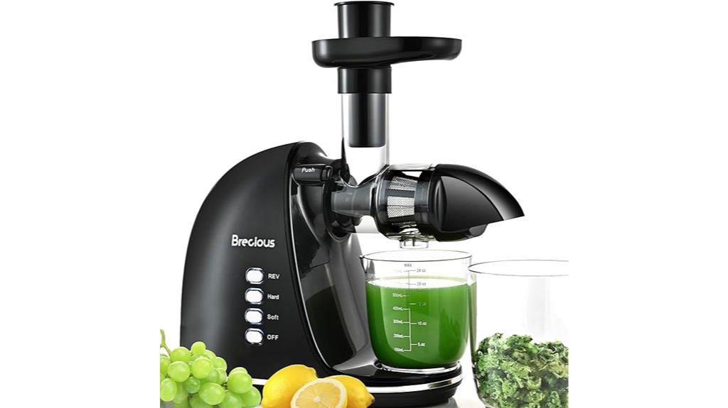 black slow juicer
