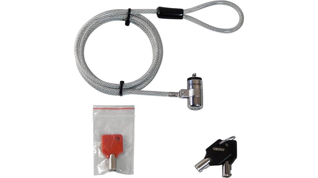 ten pack silver locks