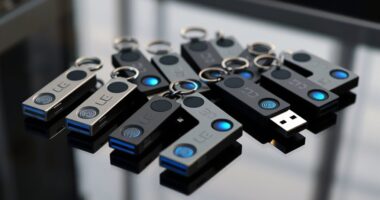 top biometric usb security keys