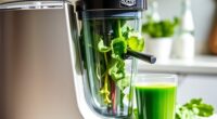 top leafy green juicers