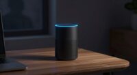 echo spying vulnerability revealed