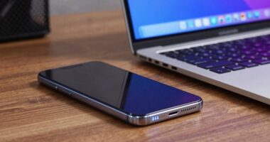 mobile security distinctions