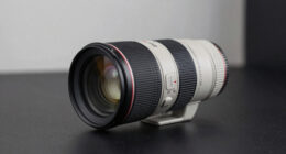 14 Best Telephoto Lenses Over $500 in 2026
