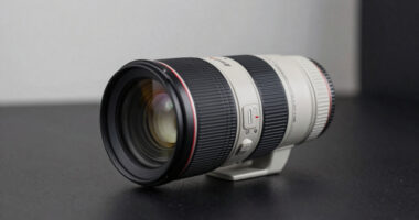 14 Best Telephoto Lenses Over $500 in 2026