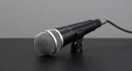 14 Best Top Rated Studio Microphones Over $500 in 2026