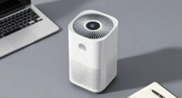 6 Best Office Air Purifiers Over $500 in 2026