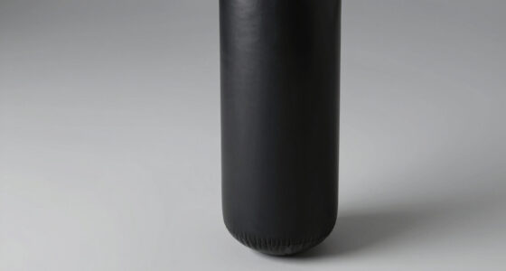 7 Best Punching Bag Systems Over $500 in 2026